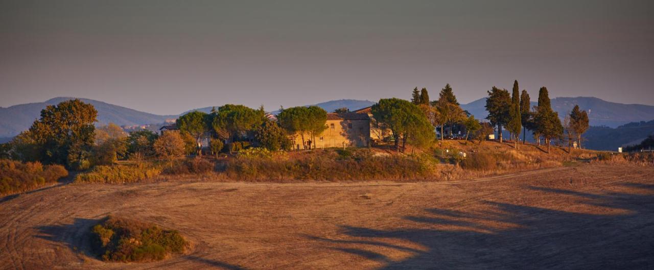 Podere San Francesco Bed and Breakfast Volterra Buitenkant foto